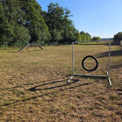 Hundeauslaufgebiet-Hundewiese Burglengenfeld-Bild