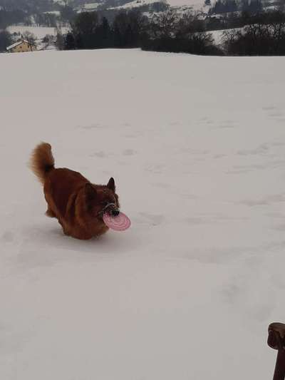 Zeigt doch mal eure Discdogs-Beitrag-Bild