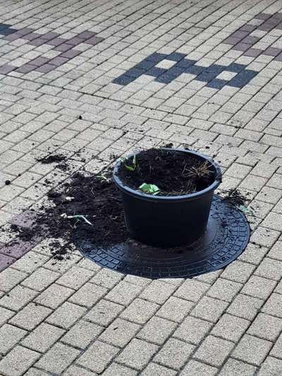 Zeig mir, dass du mit einem hund zusammenlebst....-Beitrag-Bild