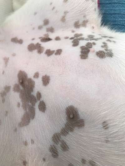 Blick fürs Detail!-Beitrag-Bild