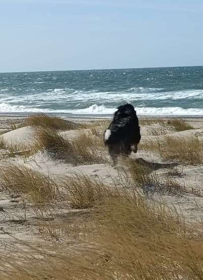 Theos  Fotochallenge Nummer 2-Beitrag-Bild