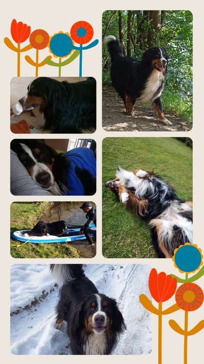 22. Collagen Challenge- Lebensfreude-Beitrag-Bild