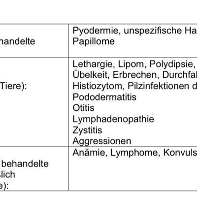 Was kann das sein?-Beitrag-Bild