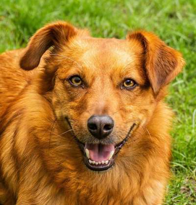 Fotochallange Nr. 57     PORTRÄT.   Beendet!!!!!!!!-Beitrag-Bild