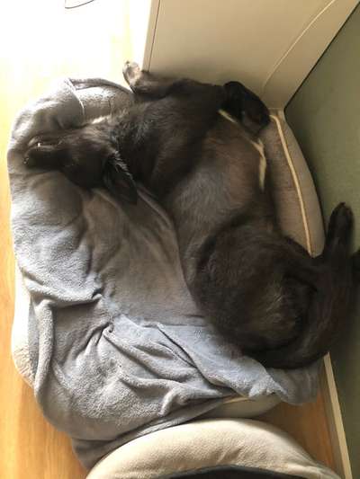 CHALLENGE NR. 34 - Liege-/Schlafpositionen-Beitrag-Bild