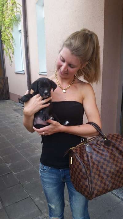 Das erste Foto-Beitrag-Bild