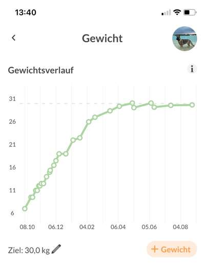 Alles rund um den Schäferhund, diskutieren erwünscht.-Beitrag-Bild