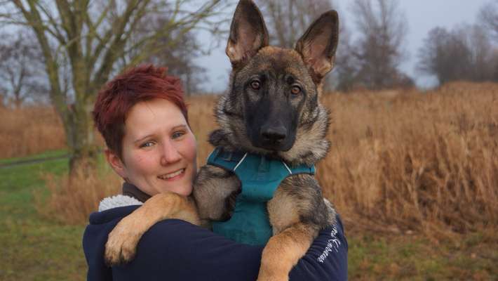 Challenge 33 - Du und dein Hund-Beitrag-Bild