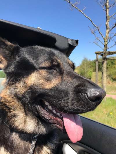 CHALLENGE NR. 18 - ON TOUR-Beitrag-Bild