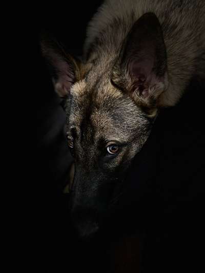 Fotochallange Nr. 57     PORTRÄT.   Beendet!!!!!!!!-Beitrag-Bild