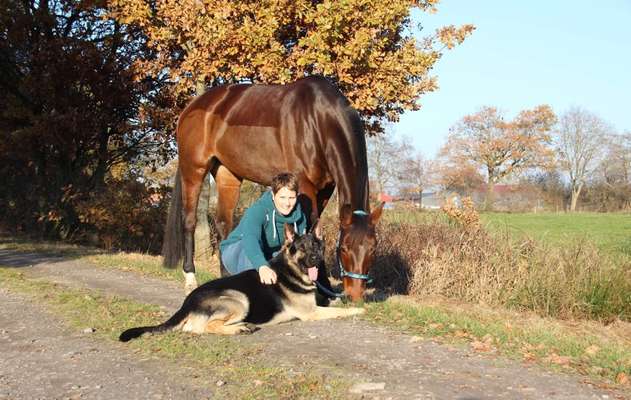 Challenge 30  Freundschaft-Beitrag-Bild