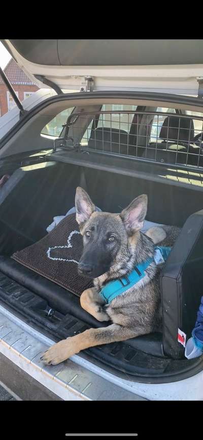 CHALLENGE NR. 18 - ON TOUR-Beitrag-Bild