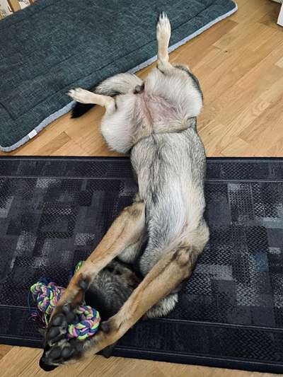 Fotochallenge Nr.65-Beitrag-Bild