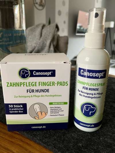 Senioren-Beitrag-Bild