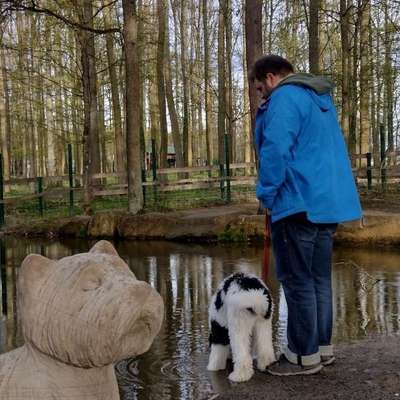 Hundetreffen-Junghunde in Veitshöchheim-Profilbild