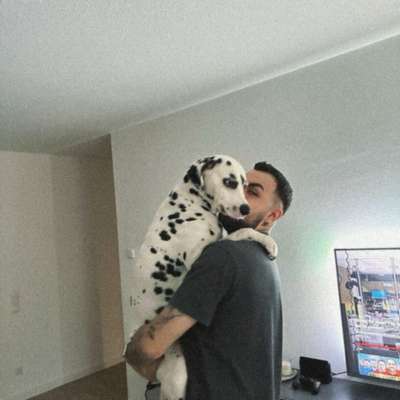 Hundetreffen-Frankfurt am Main-Bild