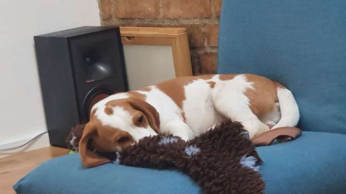 Gute Auslastung: Woran erkennt ihr die?-Beitrag-Bild