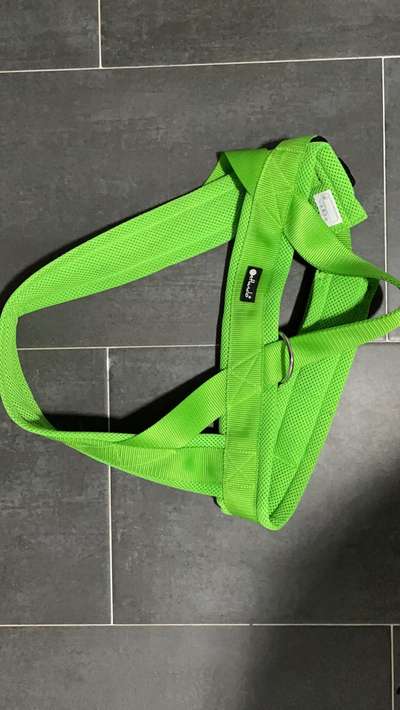 Geschirrauswahl-Beitrag-Bild