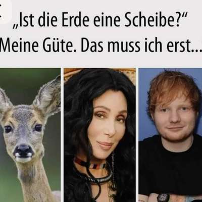 aktuelles Foto Gruppe Rätselfreunde🔍💡🪢