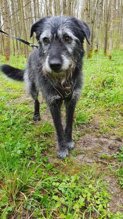 Doppelgänger gesucht !-Beitrag-Bild