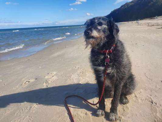 Lieblingsbild-Beitrag-Bild