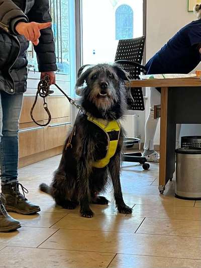 Doppelgänger gesucht !-Beitrag-Bild