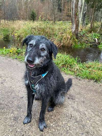 Zeigt eure Portraits-Beitrag-Bild