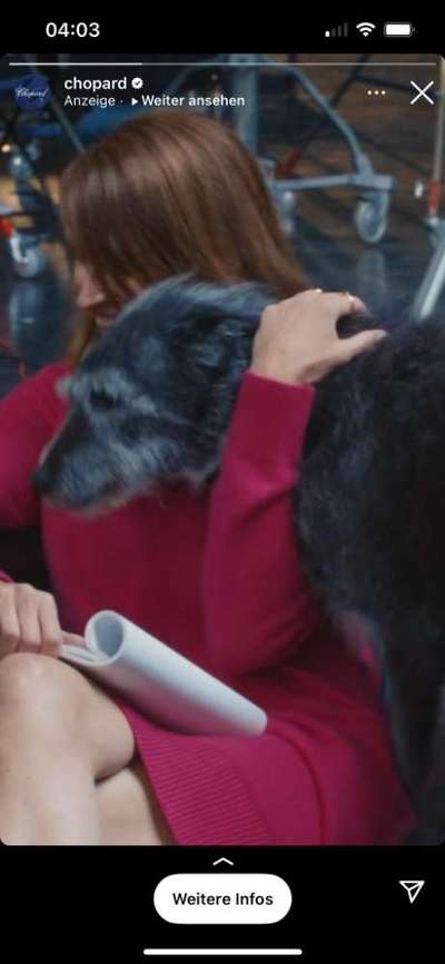 Doppelgänger gesucht !-Beitrag-Bild