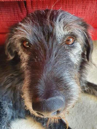 20. Handy -Foto-Callenge-Beitrag-Bild