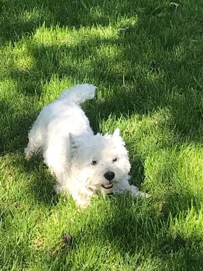 Fotochallenge Nr.122-Beitrag-Bild