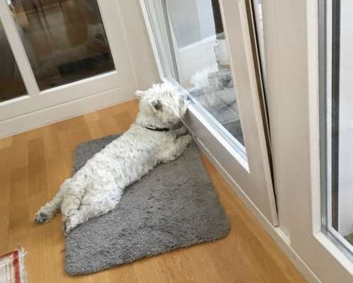 120. Fotochallenge-Beitrag-Bild