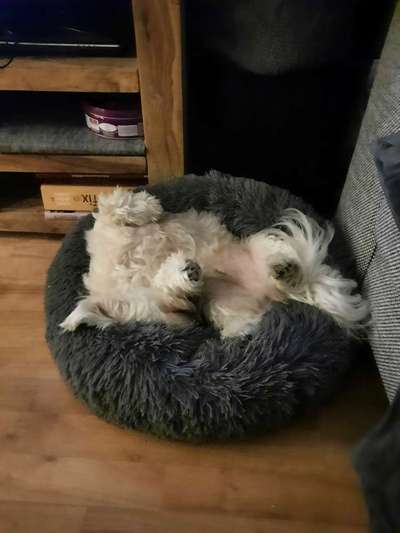 Die unbequemsten und lustigsten Schlafpositionen-Beitrag-Bild