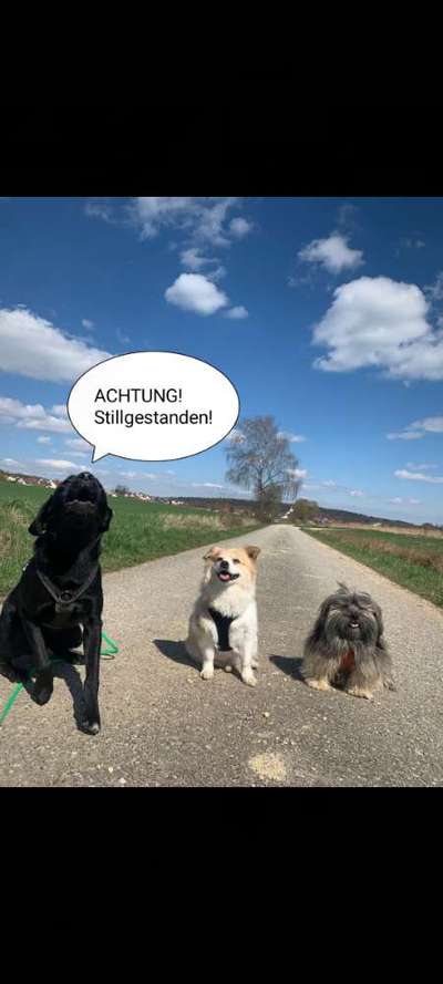 149. Foto Challenge: Wer ist hier der Boss!-Beitrag-Bild