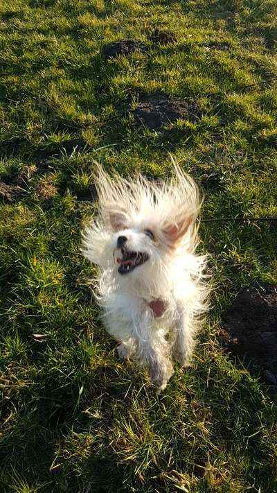 Fotochallenge Nr. 64-Beitrag-Bild