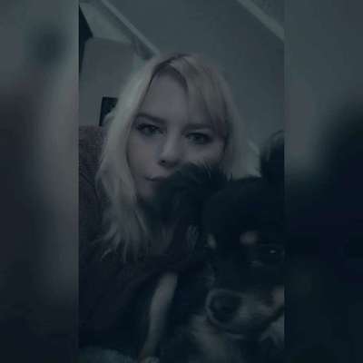 Hundetreffen-Kleine Hunde Gassi spiele runde