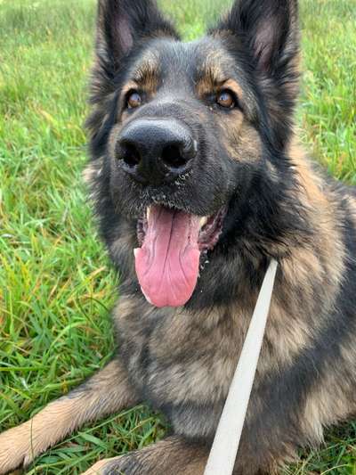 Fotochallange Nr. 57     PORTRÄT.   Beendet!!!!!!!!-Beitrag-Bild