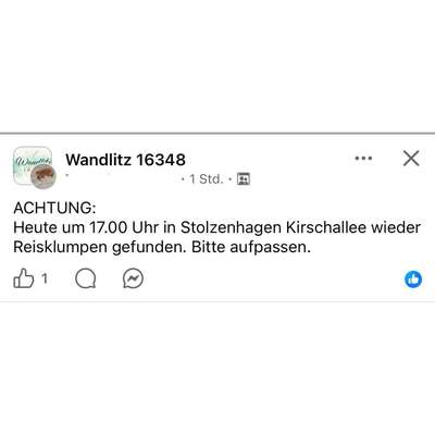 Giftköder-Giftköder -gekochter Reis-Bild