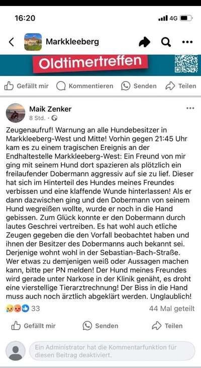Giftköder-Gestern Beißangriff Dobermann-Bild
