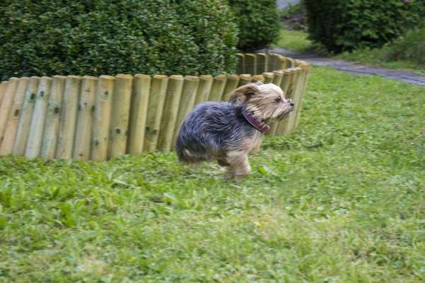 Lieblings Schnappschuss?-Beitrag-Bild