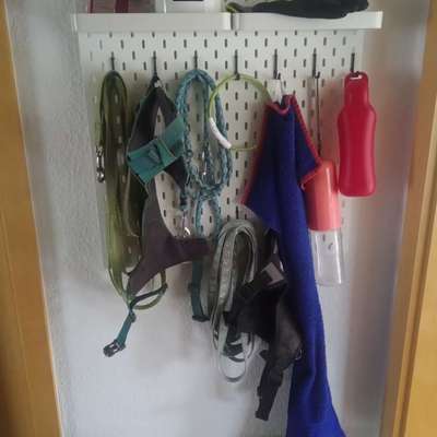Zeigt her eure Gassi-Stationen =)-Beitrag-Bild