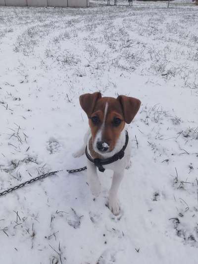 Dogorama Photo Challenge - Es wird nochmal kalt!-Beitrag-Bild