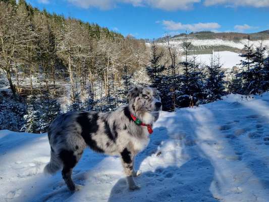 Lieblingsbild-Beitrag-Bild