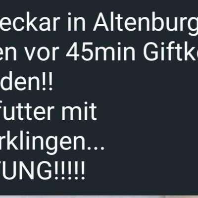 Giftköder-Giftköder am Neckar-Bild