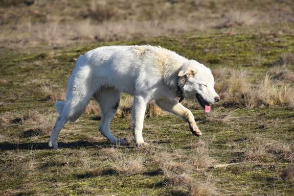 "Die eingefangene Magie des Augenblicks"-Beitrag-Bild