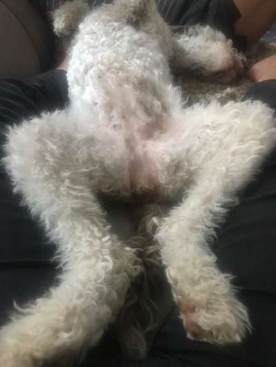 Foto Challenge - Zeigt her eure Bäuche-Beitrag-Bild