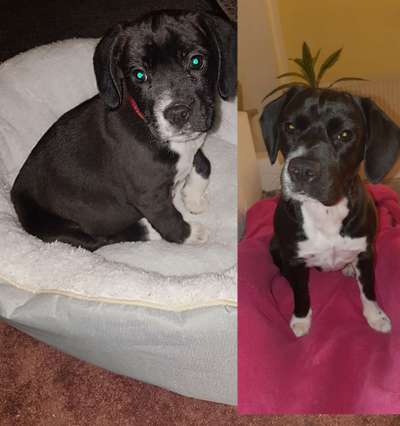 Sie werden so schnell groß!-Beitrag-Bild