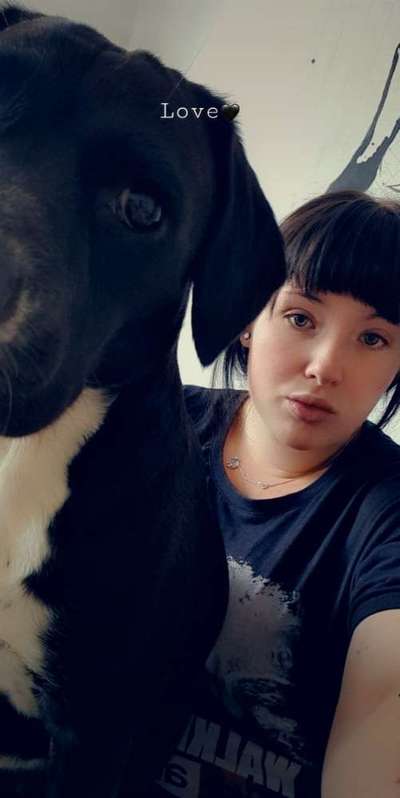 Dogorama Photo Challenge - Selfie Time!-Beitrag-Bild