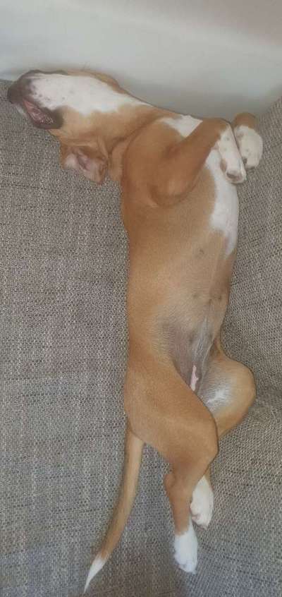 Fotochallenge Nr.65-Beitrag-Bild