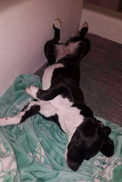 Fotochallenge Nr.65-Beitrag-Bild