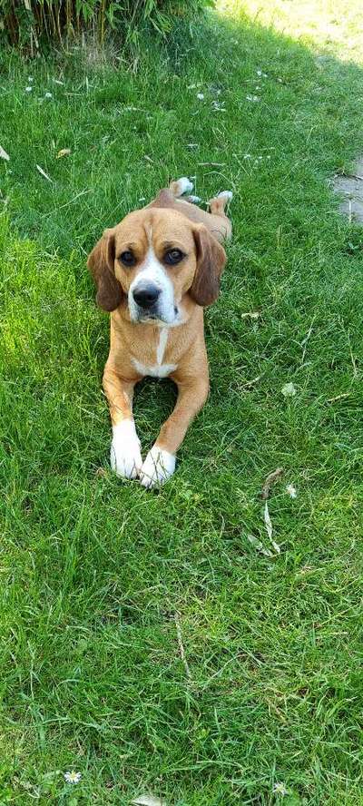 Theos  Fotochallenge Nummer 2-Beitrag-Bild